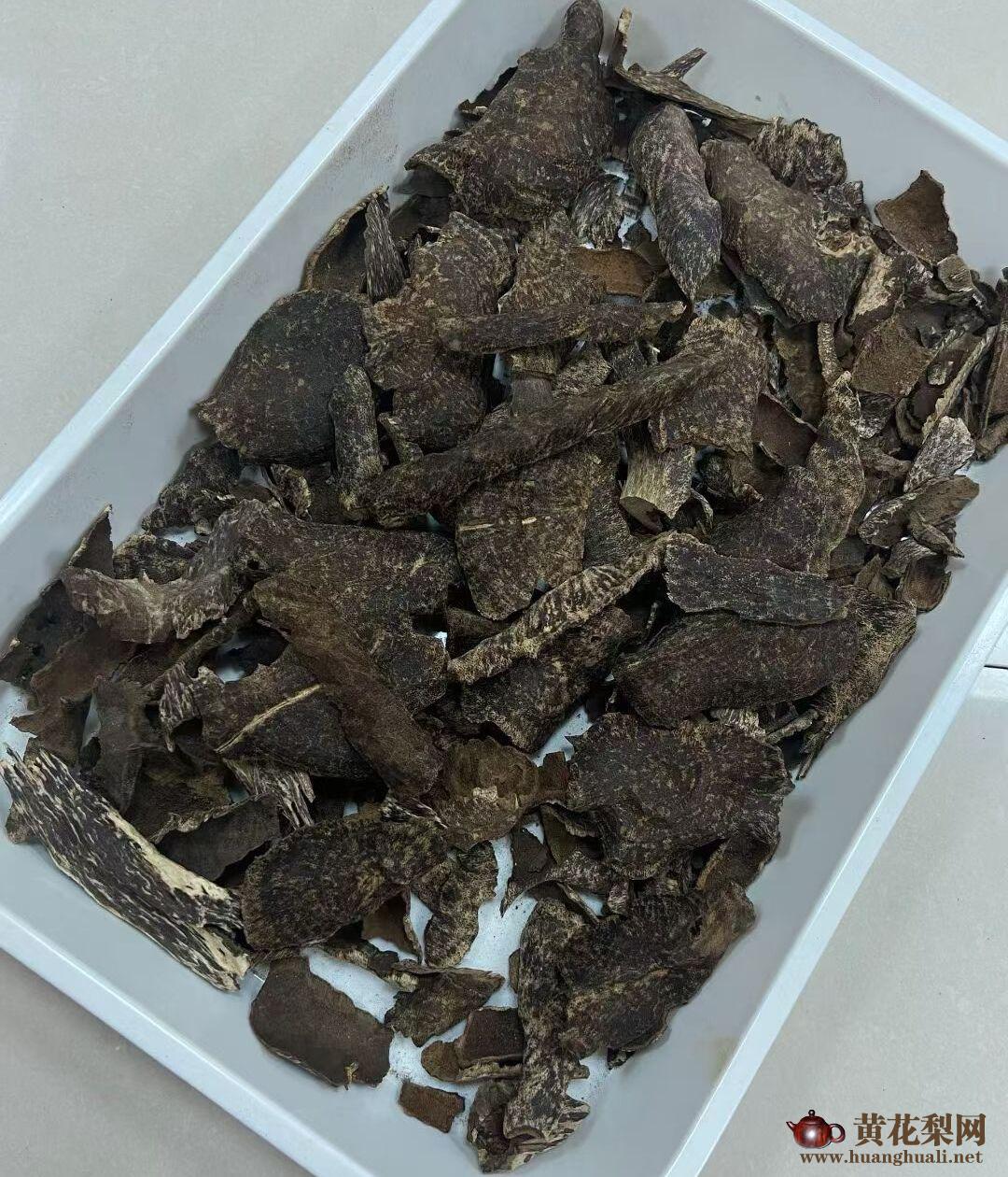 海南的“琼脂天香”与“木中皇后”